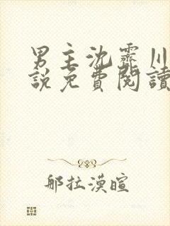 男主沈霁川的小说免费阅读