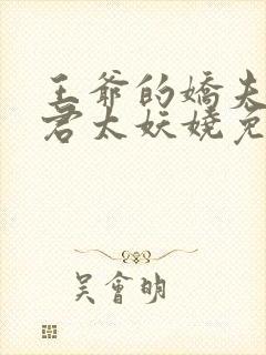 王爷的娇夫:夫君太妖娆免费阅读封面