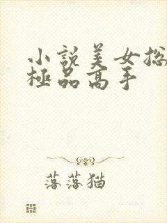 小说美女总裁的极品高手