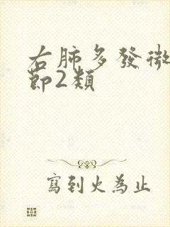 右肺多发微小结节2类