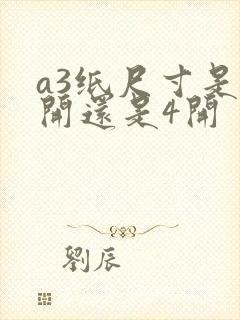 a3纸尺寸是8开还是4开