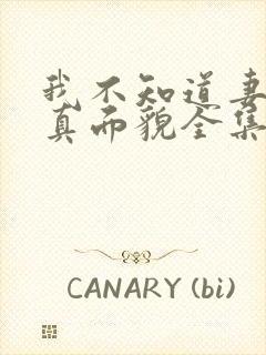 我不知道妻子的真面貌全集在线观看