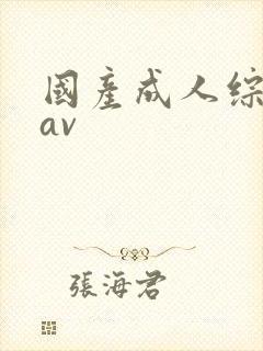 国产成人综合网av