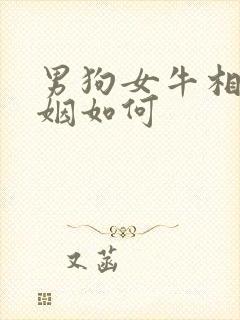 男狗女牛相配婚姻如何