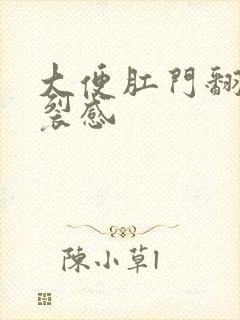 大便肛门翻出撕裂感封面