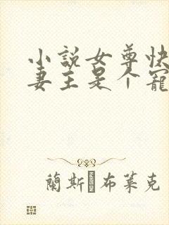 小说女尊快穿之妻主是个宠夫狂封面
