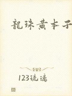 龙珠黄本子