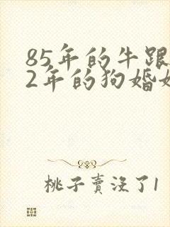 85年的牛跟82年的狗婚姻相配吗