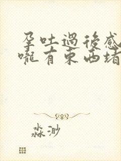 孕吐过后感觉喉咙有东西堵着怎么办封面