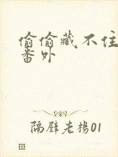 偷偷藏不住新婚番外