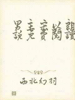 男主宋以朗的小说免费阅读