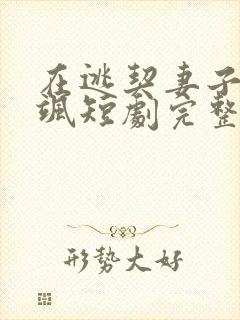 在逃契妻子美又飒短剧完整版封面