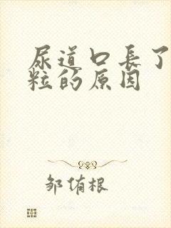 尿道口长了小肉粒的原因