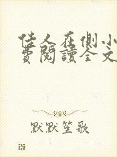 佳人在侧小说免费阅读全文无弹窗