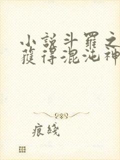 小说斗罗之开局获得混沌神考