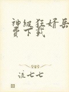 神级狂婿岳风免费下载