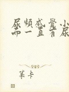 尿频感觉小腹下面一直有尿意吃什么药