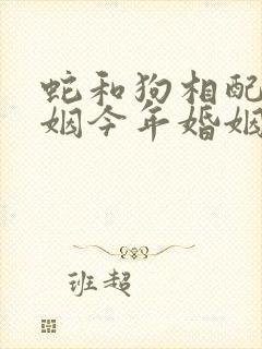 蛇和狗相配吗婚姻今年婚姻怎么样