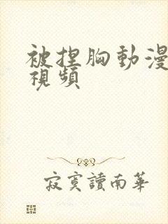 被捏胸动漫大胸视频