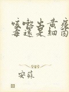 咳嗽出黄痰是病毒还是细菌