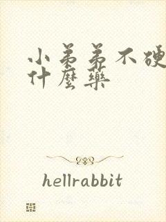 小弟弟不硬该吃什么药封面