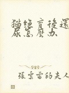 猫绝育后还会乱尿怎么办封面