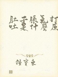 肚子胀气打嗝想吐是什么原因封面