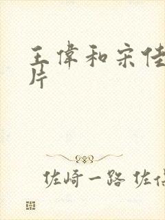 王伟和宋佳的照片