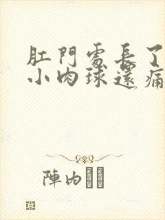 肛门处长了一个小肉球还痛怎么治