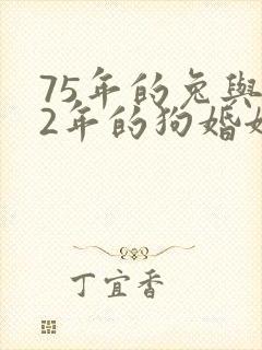 75年的兔与82年的狗婚姻怎么样