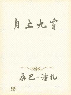 月上九霄封面