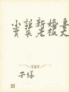 小说新婚妻子与卖菜老板大结局