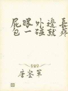 屁眼外边长了个包一碰就疼封面