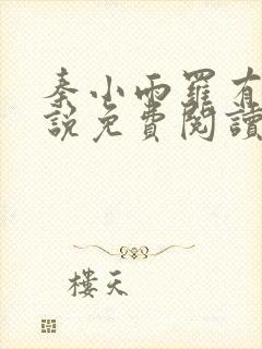 秦小雨罗有旺小说免费阅读封面