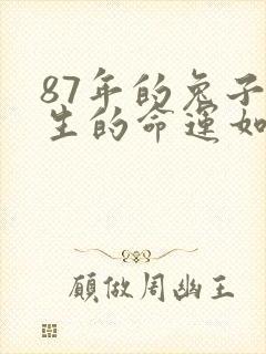 87年的兔子一生的命运如何