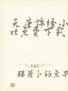 天唐锦绣小说txt免费下载