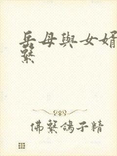 岳母与女婿的关系封面