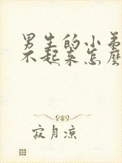 男生的小弟弟硬不起来怎么办