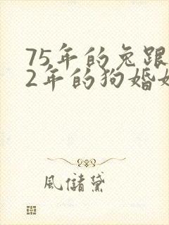 75年的兔跟82年的狗婚姻