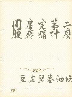 同房完第二天小腹疼痛什么原因