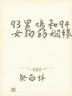93男鸡和94女狗的姻缘