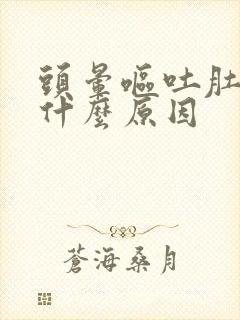 头晕呕吐肚子痛什么原因