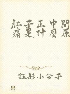 肚子正中间一直痛是什么原因