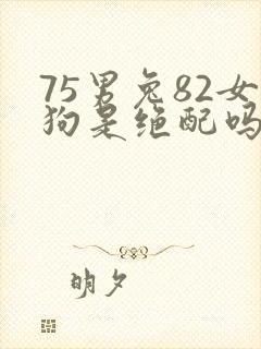 75男兔82女狗是绝配吗封面