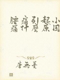 腰痛引起小肚子痛什么原因