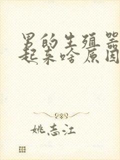 男的生殖器硬不起来啥原因