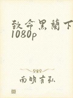 致命黑兰下载 1080p