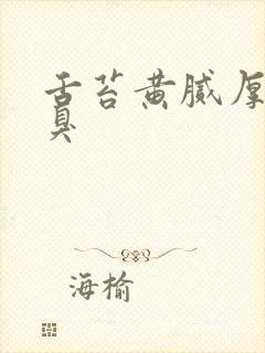 舌苔黄腻厚 口臭