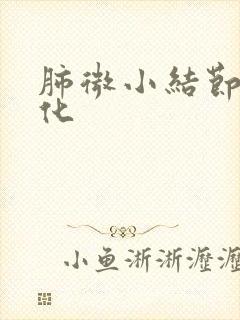 肺微小结节伴钙化封面