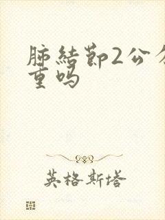 肺结节2公分严重吗